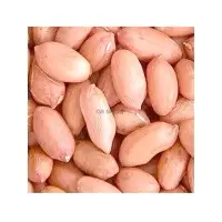 Groundnut Kernels