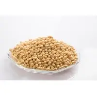 Soybean Seeds