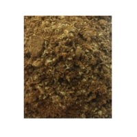 Cotton Seed Meal