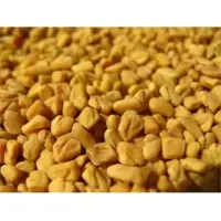 Fenugreek Seeds