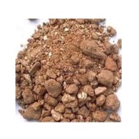Groundnut Doc