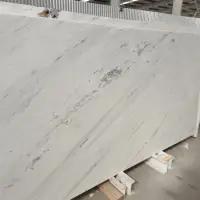 Polaris White Marble