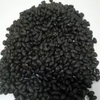 Black Beans