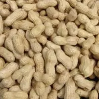 Organic Peanuts (Ground nuts)