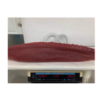 Fresh Chilled Tuna Loins