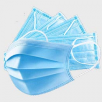 Face Mask (1 Piece)