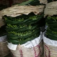 Betel Leaves