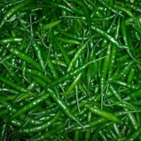 Green Chili