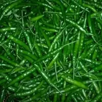 Green Chili