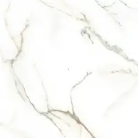 DHO6002 - Glossy Porcelain Tile