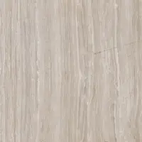 WDC6005 - Glossy Porcelain Tile