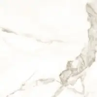 WDC6003 - Glossy Porcelain Tile