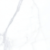 WDC6004 - Glossy Porcelain Tile
