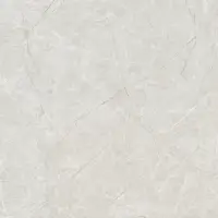 Mp8803 - Glossy Porcelain Tile