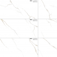 Y-3677 - Glossy Ceramic Tile 30x60 cm