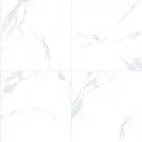 Fr80c01 -  Porcelain Matt Size 80x80