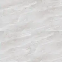 Fr80c02 -  Porcelain Matt SIZE 80X80