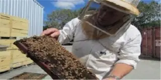 Nelson Honey Singapore Pte Limited factory image