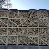Wood Pallet