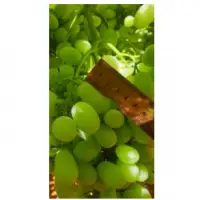 Pristine Seedless