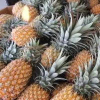 Hot Sale Fresh Pinapples