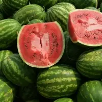 Fresh Sweet Water Melons