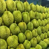 Fresh Durian