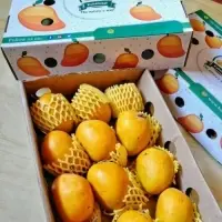 Fresh Alphonso Mangoes
