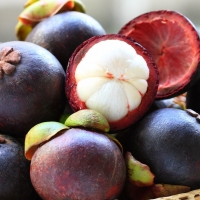 Best Quality Mangosteen