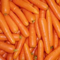 Sri Lankan Upcountry Fresh Carrot