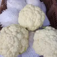 Fresh Cauliflower