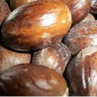 Nutmeg