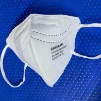 N95 Mask