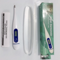 Digital Thermometer