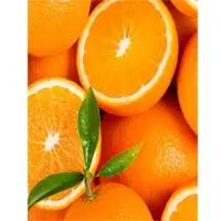 Oranges