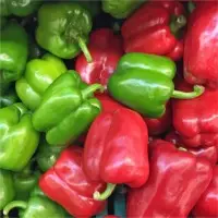 Pepper Colors
