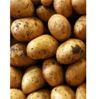 Potatoes