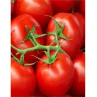 Tomatoes