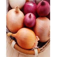 Red And Yellow Onions