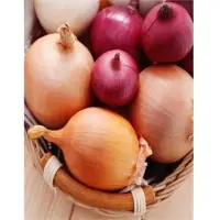 Red And Yellow Onions