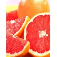 Grapefruit