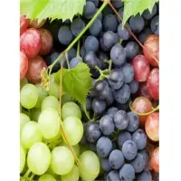 Grapes