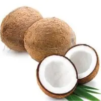 Coconuts