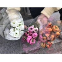 Ranunculus