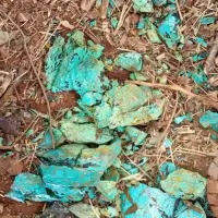 Copper Concentrate
