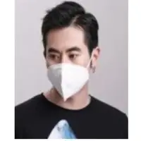 Face Mask N95