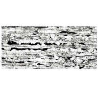 Floor Tiles