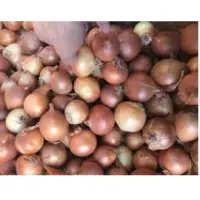 Asorting Onion