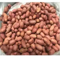 Groundnuts