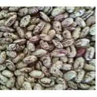 Beans